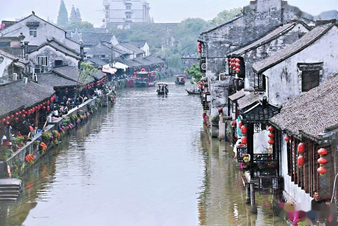 喜剧电影《银河写手》定档,“三狗”组合搞笑化身乙方嘴替